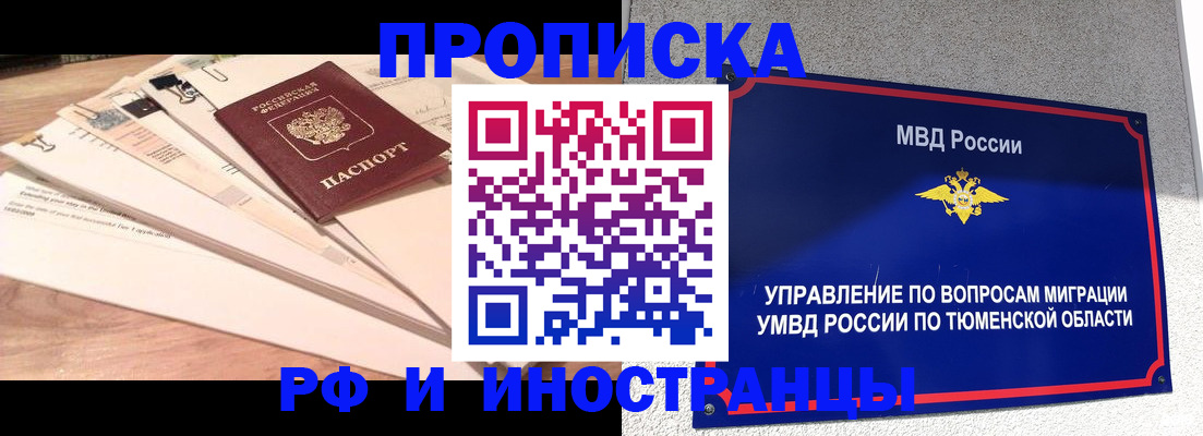 временная регистрация поиск в Новгородской области